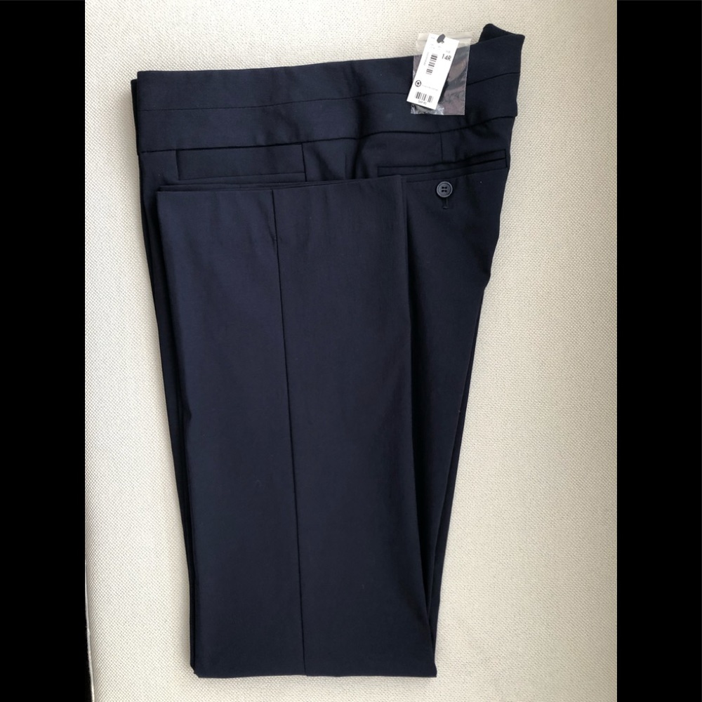The Limited Exact Stretch pants